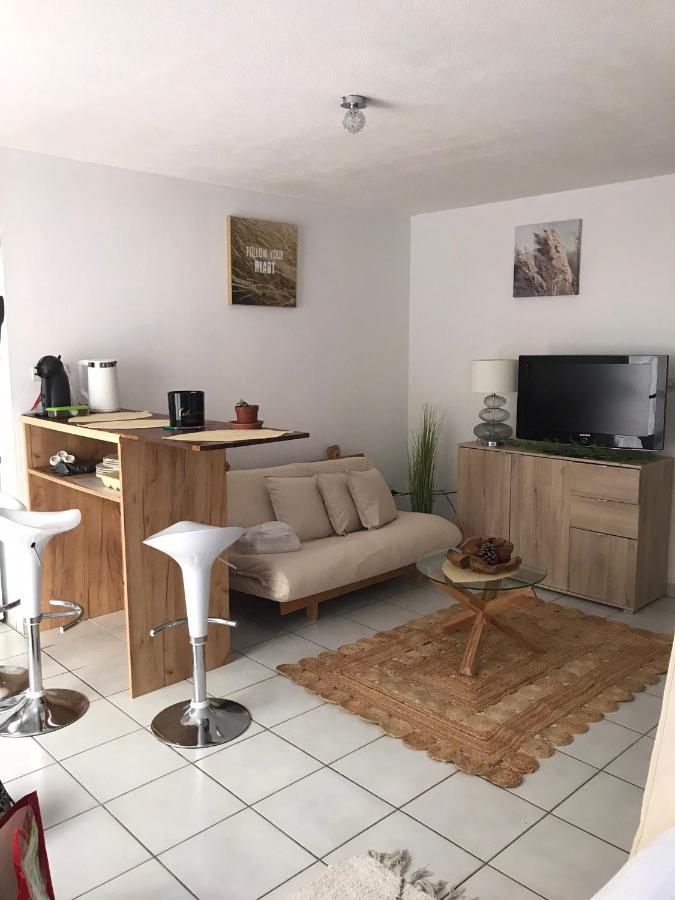 T2 Climatise Jardin & Court De Tennis/Piscine /Parking/Fibre Toulouse Exterior foto